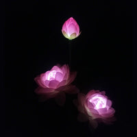 Lampe Solaire 3 LED Fleur De Lotus Lumière Couleur Economie d'énergie Lampes IP33