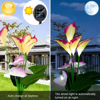 Fleur Lampe De Jardin Anthurium Lumière Décoration Énergie Solaire Jardin Multicolore