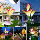 Fleur Lampe De Jardin Anthurium Lumière Décoration Énergie Solaire Jardin Multicolore