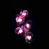 Magnifique Orchidée Lampe De Jardin Pelouse Extérieure Décorative 5 Tête Lumière Led