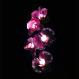 Magnifique Orchidée Lampe De Jardin Pelouse Extérieure Décorative 5 Tête Lumière Led