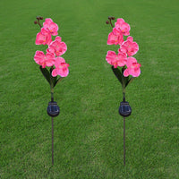 Magnifique Orchidée Lampe De Jardin Pelouse Extérieure Décorative 5 Tête Lumière Led