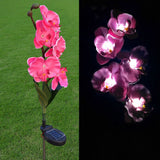 Magnifique Orchidée Lampe De Jardin Pelouse Extérieure Décorative 5 Tête Lumière Led