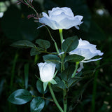 Très jolie Lampe Solaire De Paysage Jardin 4 Saisons De Fleur De Rose À Energie Solaire
