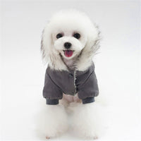 Vêtements d'hiver pour petit chiens de compagnie manteau veste  chauds Yorkies Chihuahua