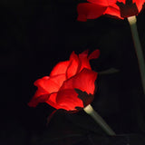 Lampe Solaire Rose Led Multicolores De Haute Qualité Pour Jardin Décoration Étanche