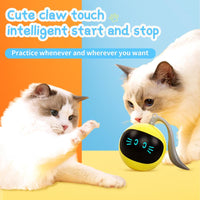 Smart Jouet USB Électrique Balle Auto Rotation Roulant Pour Chat Chien Enfant 1000 mAh