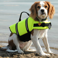 Vêtements pour animaux de compagnie chien gilet jaune de sauvetage vêtements de sécurité