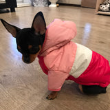Vêtements chiens à capuche manteau imperméable petits chiens Bouledogue Chihuahua